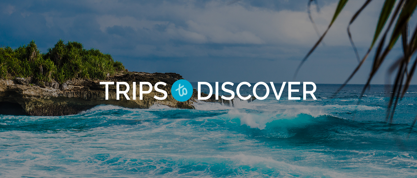 Trips To Discover Website